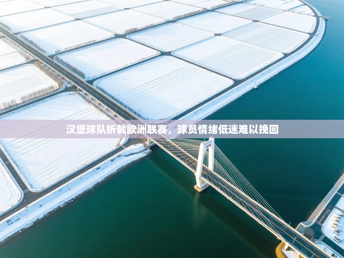 开云直播-汉堡球队折戟欧洲联赛，球员情绪低迷难以挽回  第2张