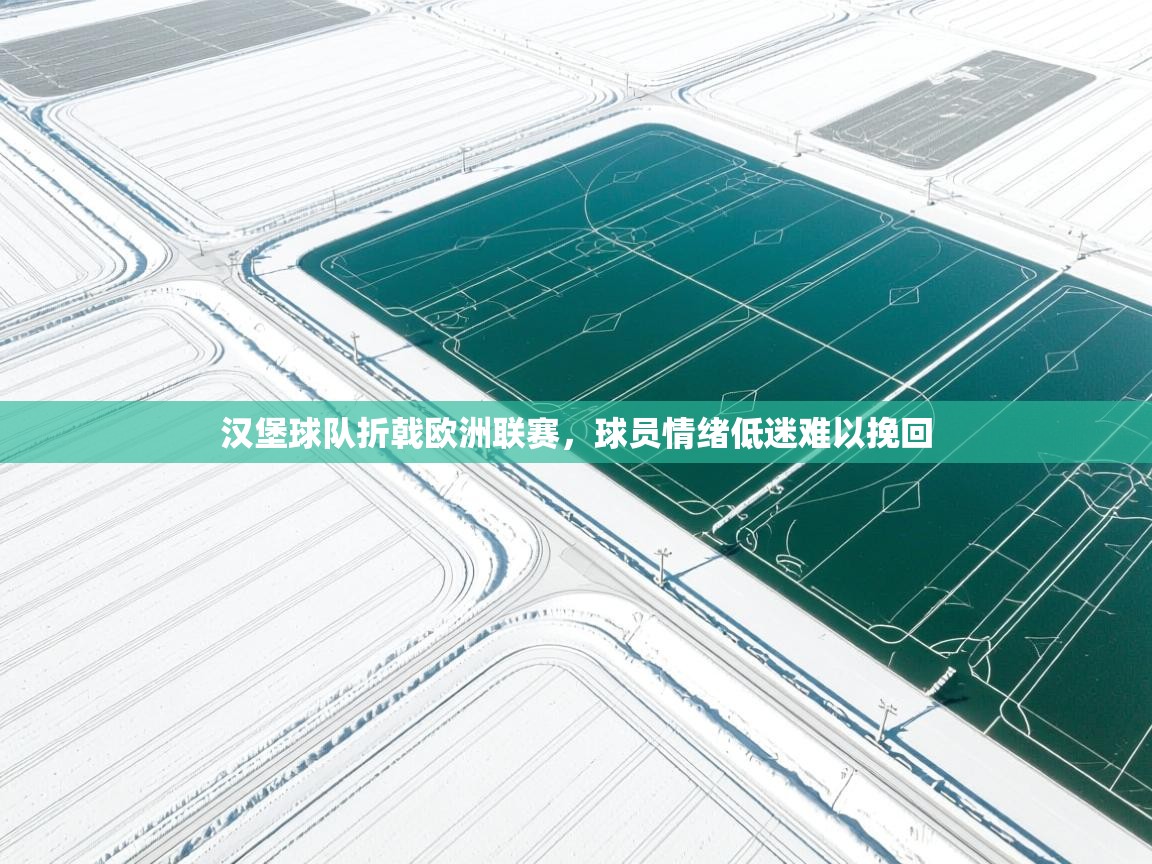 开云直播-汉堡球队折戟欧洲联赛，球员情绪低迷难以挽回  第3张