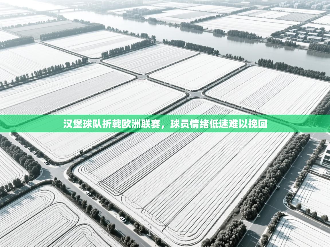 开云直播-汉堡球队折戟欧洲联赛，球员情绪低迷难以挽回  第4张