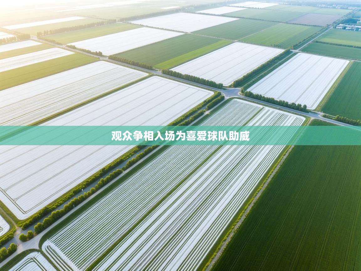 开云网页版-观众争相入场为喜爱球队助威