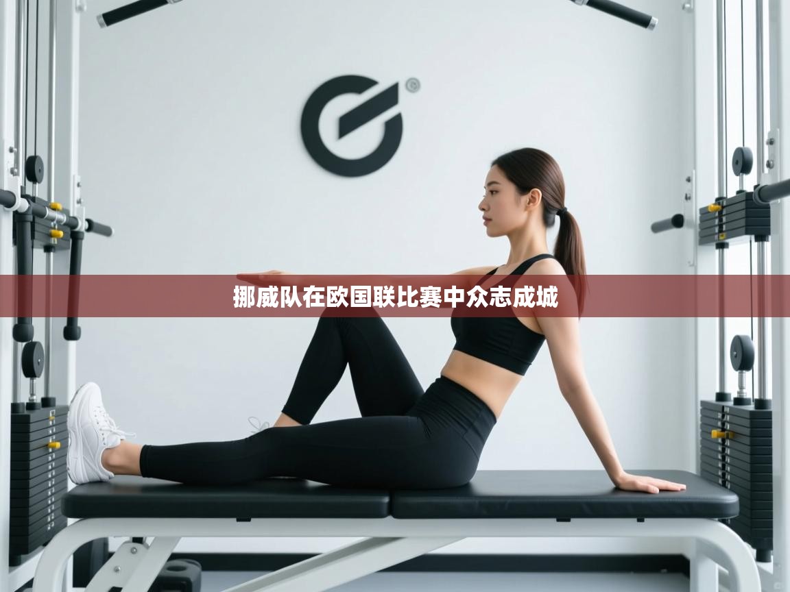 开云体育app官网-挪威队在欧国联比赛中众志成城  第3张