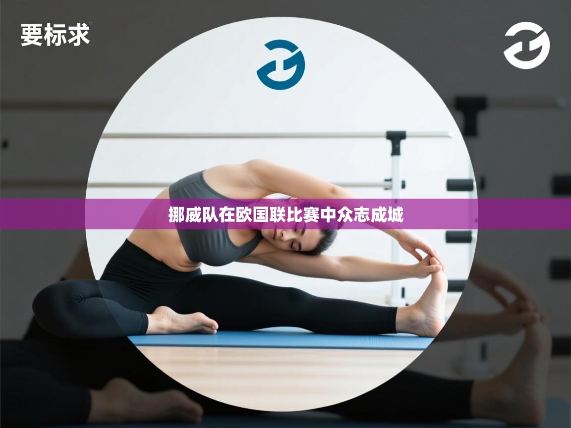 开云体育app官网-挪威队在欧国联比赛中众志成城  第2张