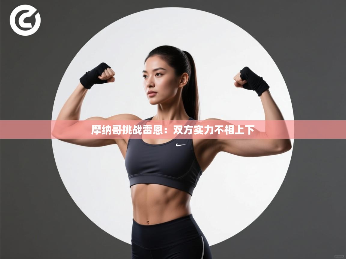 云开体育app官网入口网页版-摩纳哥挑战雷恩：双方实力不相上下  第3张