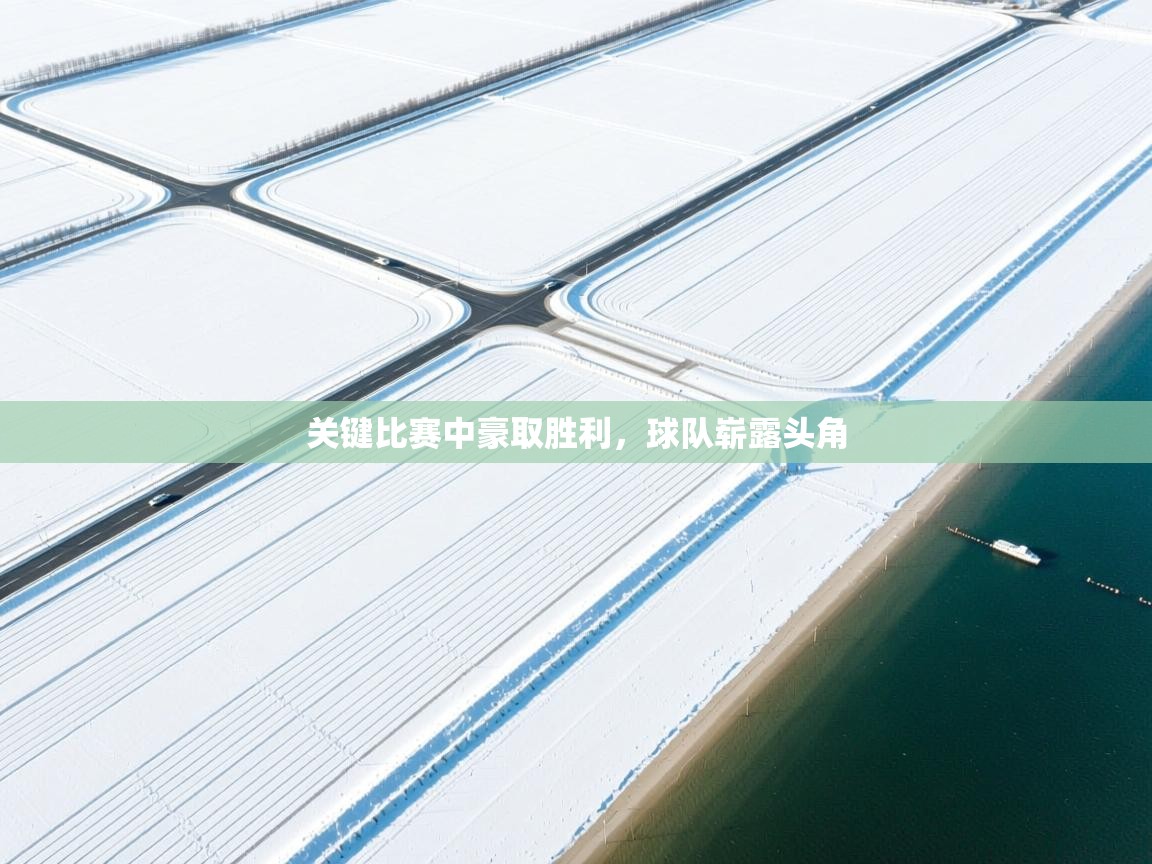 开云体育app官网入口-关键比赛中豪取胜利，球队崭露头角