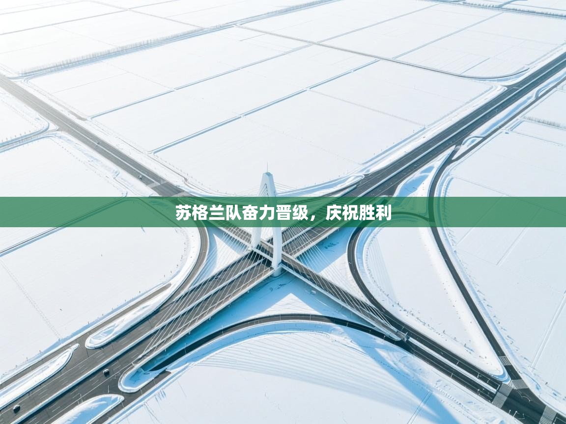 开云体育入口注册-苏格兰队奋力晋级,庆祝胜利 第1张