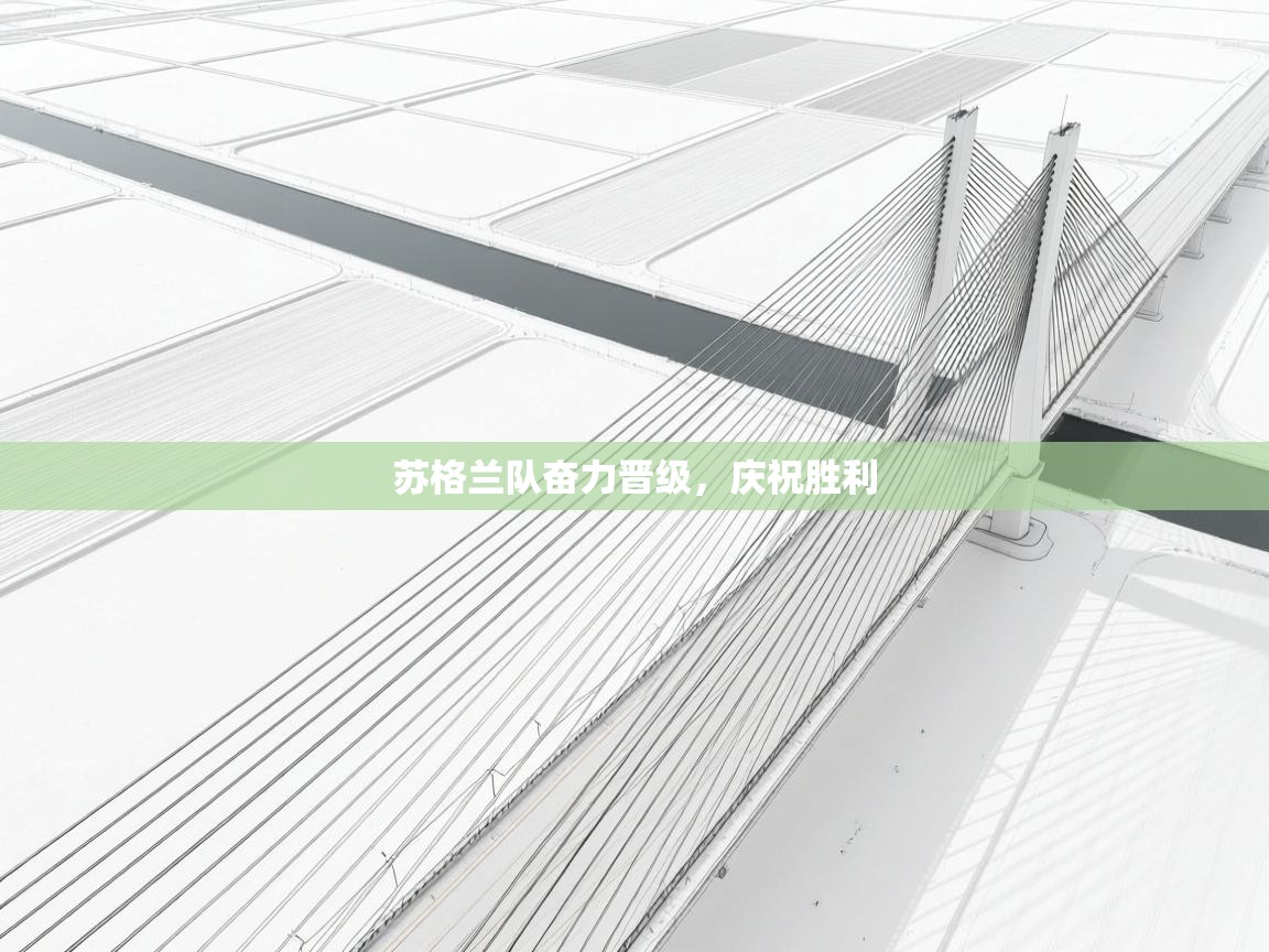 开云体育入口注册-苏格兰队奋力晋级,庆祝胜利 第2张