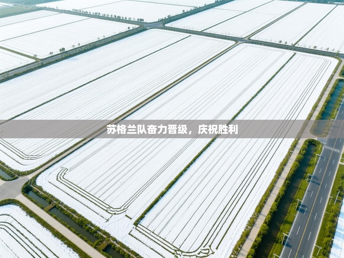 开云体育入口注册-苏格兰队奋力晋级,庆祝胜利 第4张