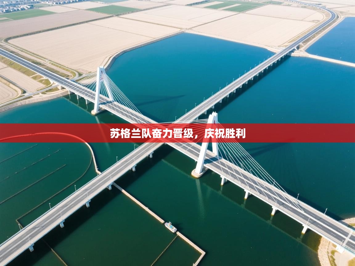 开云体育入口注册-苏格兰队奋力晋级,庆祝胜利 第3张