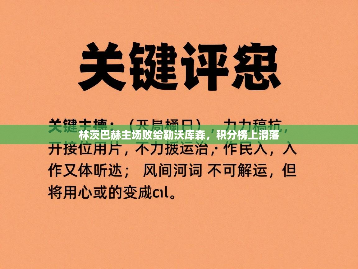 开云·体育kaiyun官方网站_kaiyun sports-林茨巴赫主场败给勒沃库森,积分榜上滑落 第1张