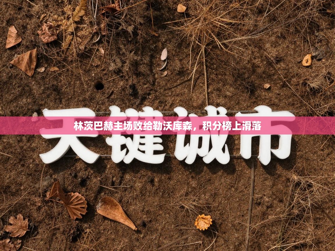 开云·体育kaiyun官方网站_kaiyun sports-林茨巴赫主场败给勒沃库森,积分榜上滑落 第3张