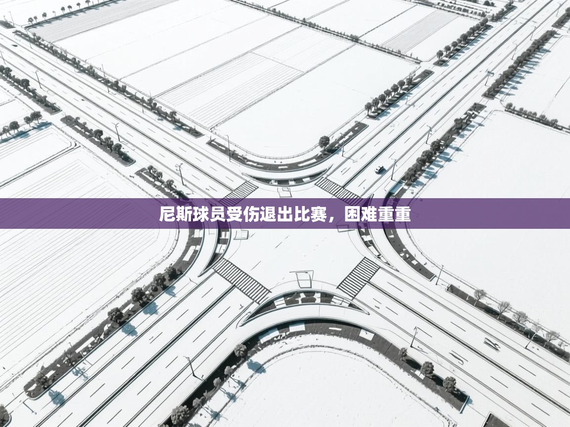 开云体育app下载官网-尼斯球员受伤退出比赛，困难重重